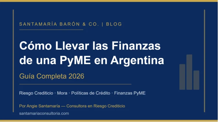Cómo Llevar las Finanzas de una PyME en Argentina portada